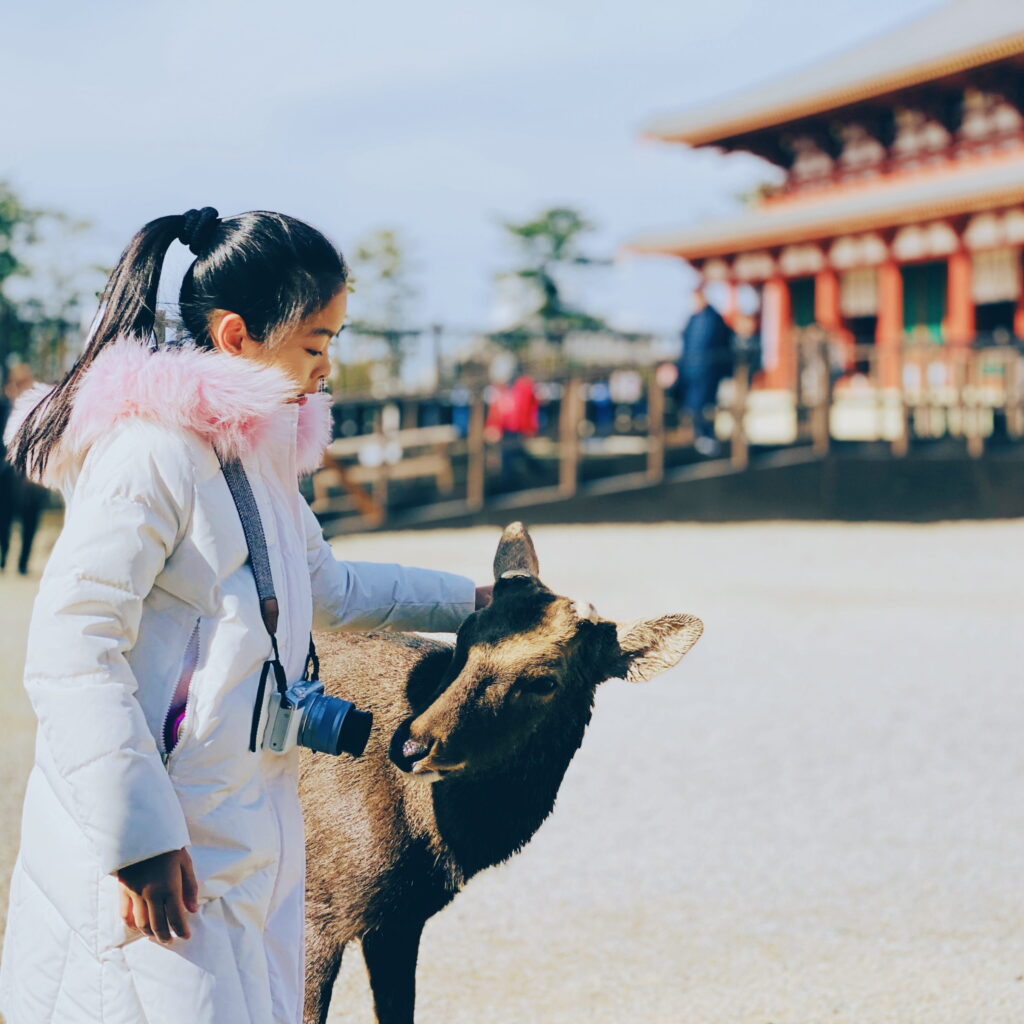 Japanese Culture and Customs 101
