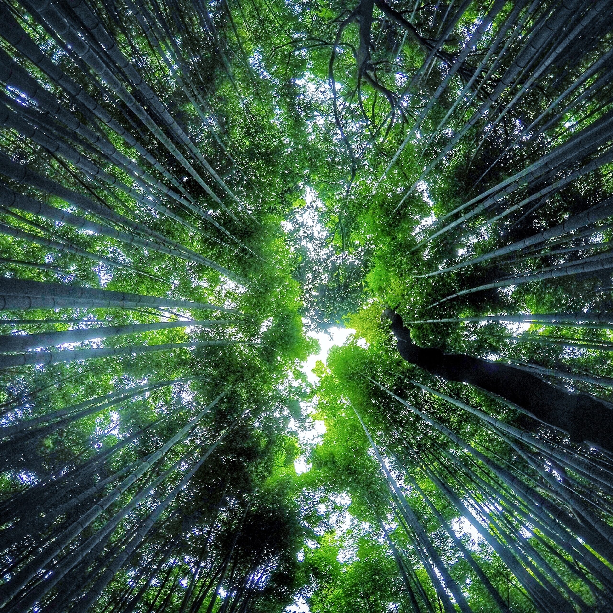 Air Quality Shiga Prefecture