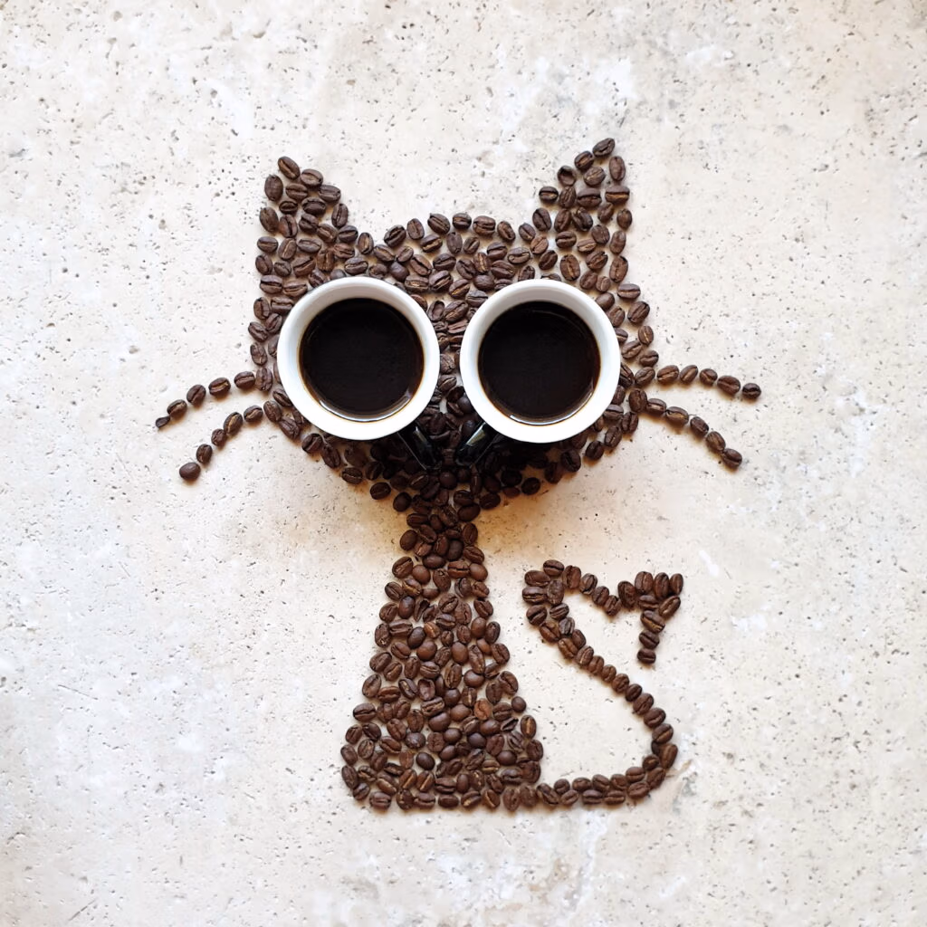 Top 5 Cat Cafés in Japan